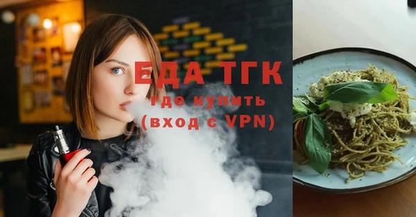 гидра Верхний Тагил