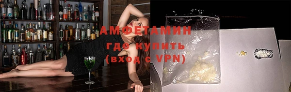 гидра Верхний Тагил