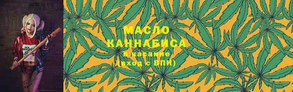 гидра Верхний Тагил