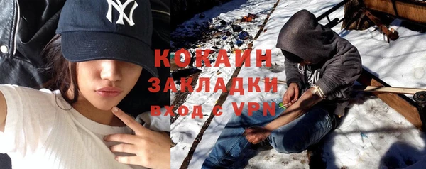 гидра Верхний Тагил